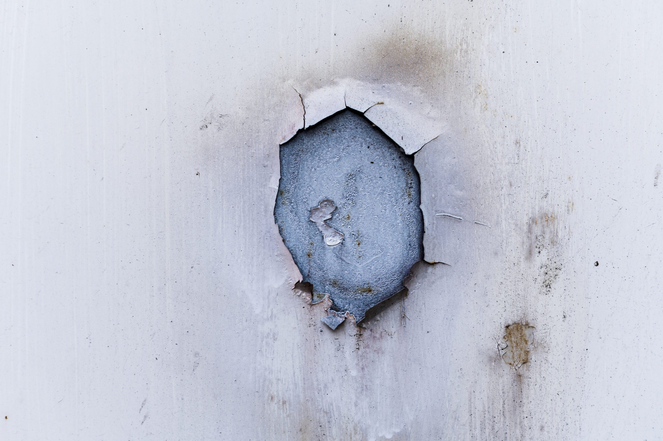 Plesen_Femago_sanacija_škode