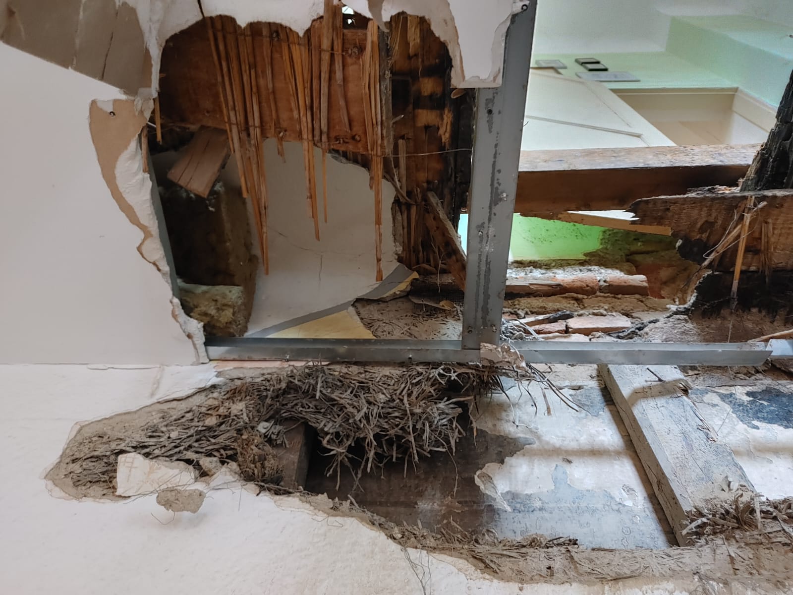 Sanacije_Femago_plesen4