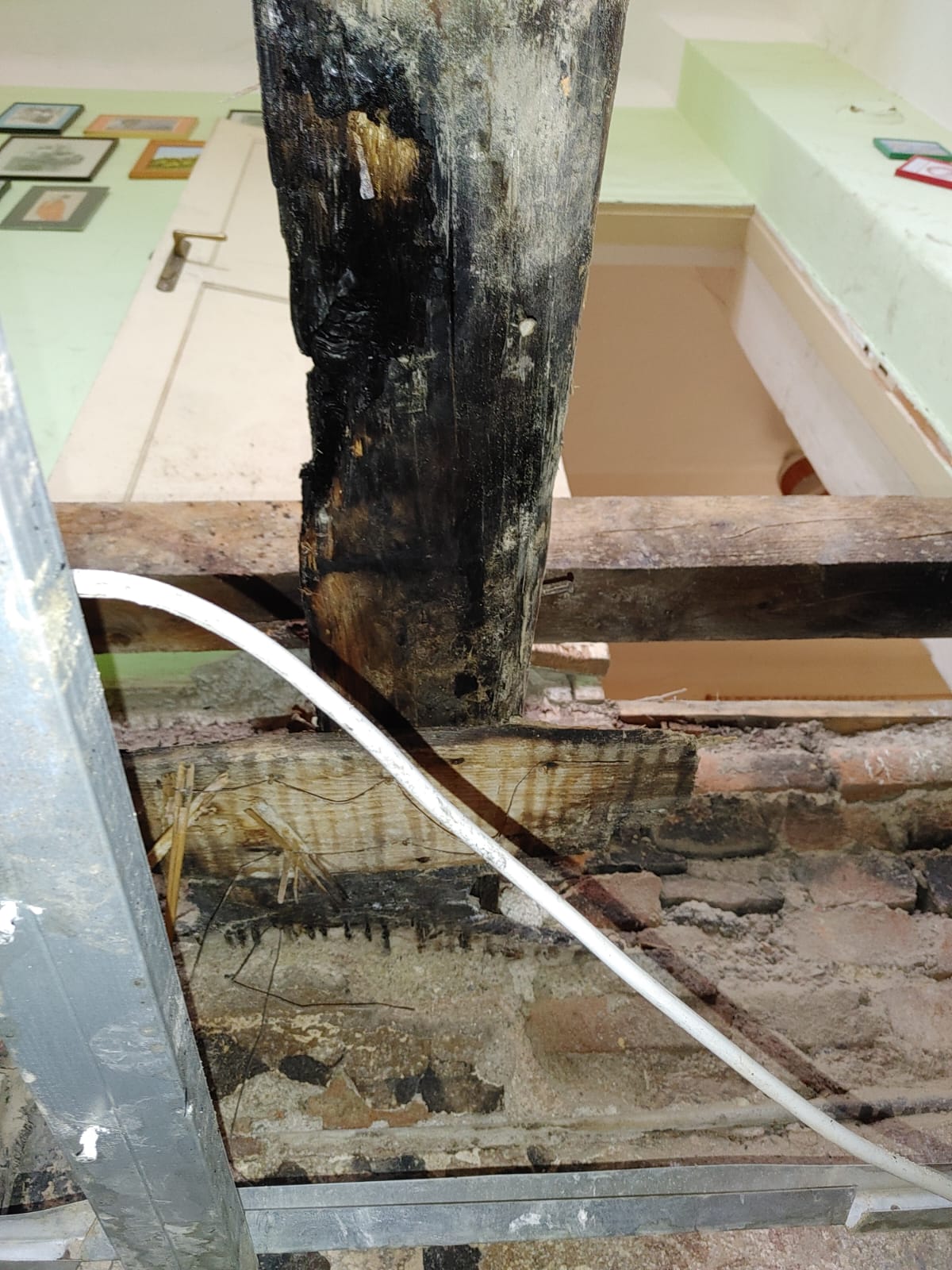 Sanacije_Femago_plesen3