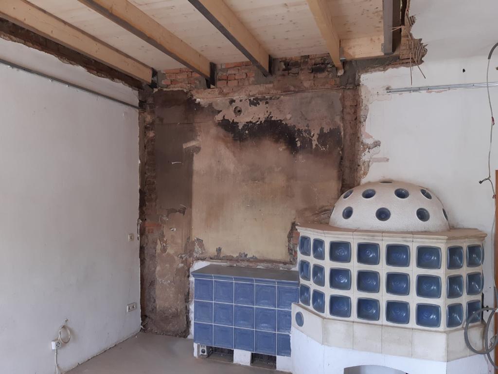 Sanacije_Femago_plesen