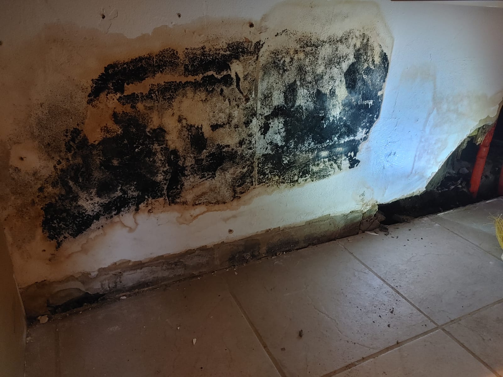 Sanacije_Femago_sanacije6